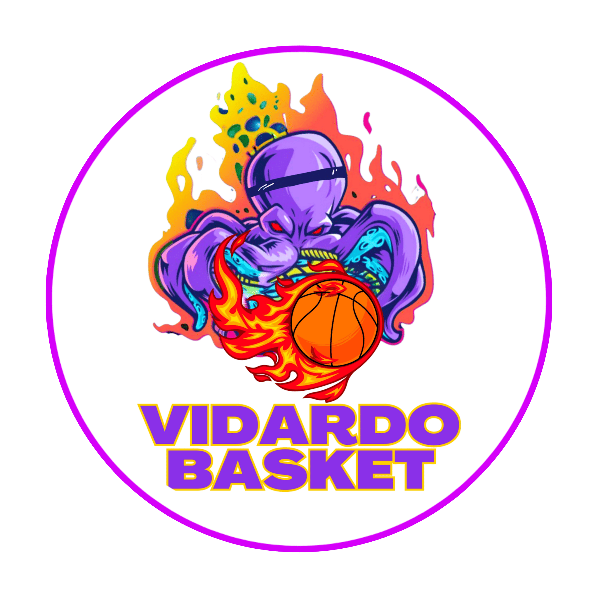 Vidardo Basket
